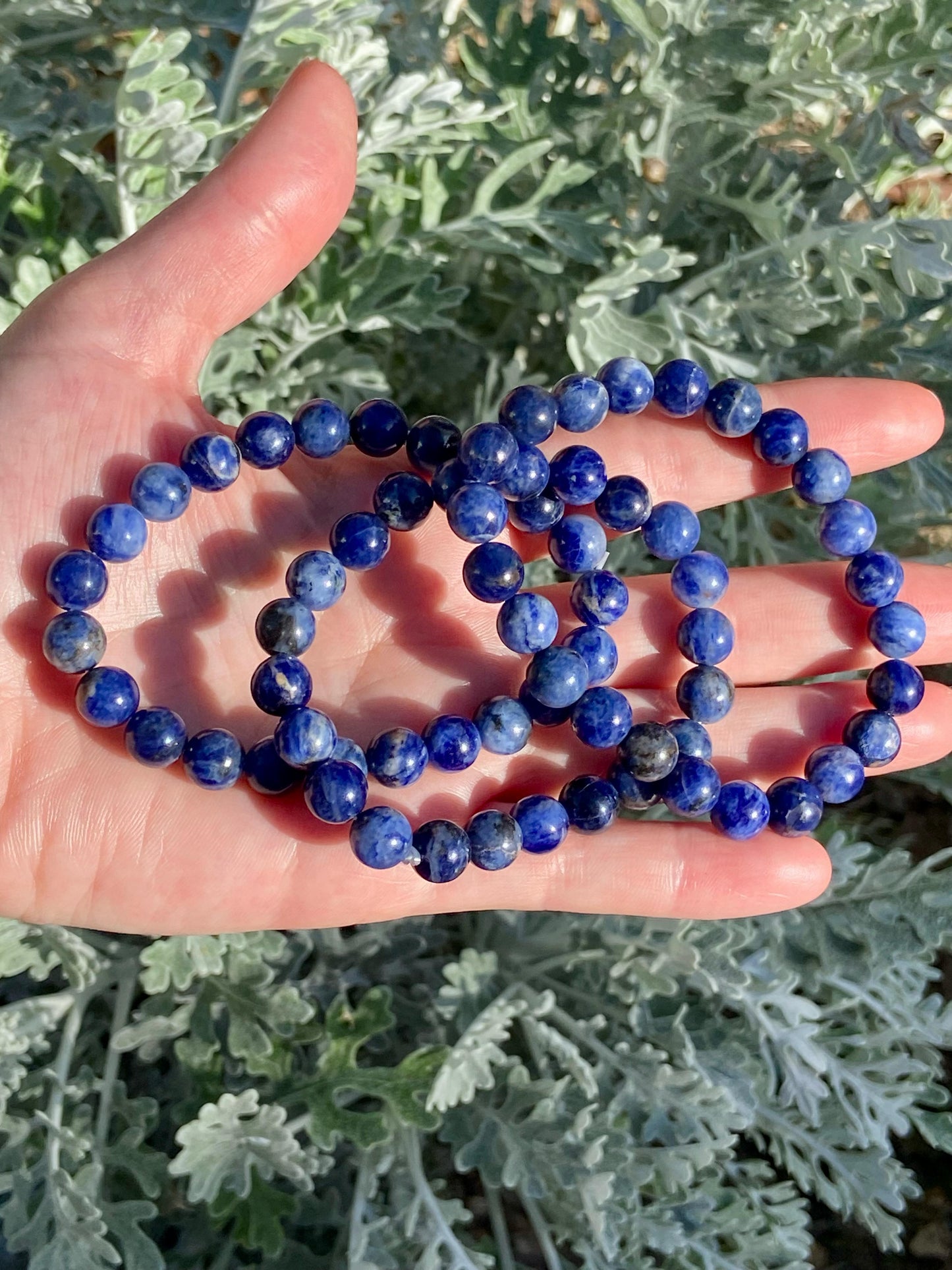 Pulsera Sodalita 8mm