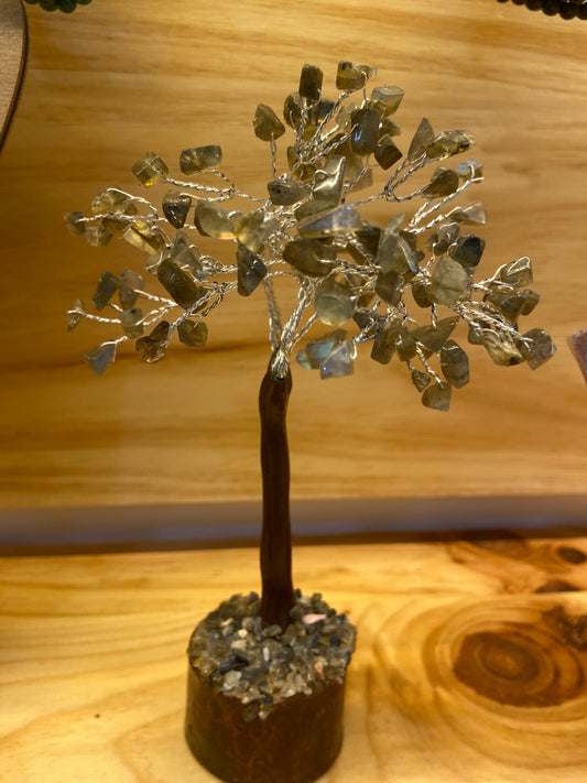 Árbol Labradorita