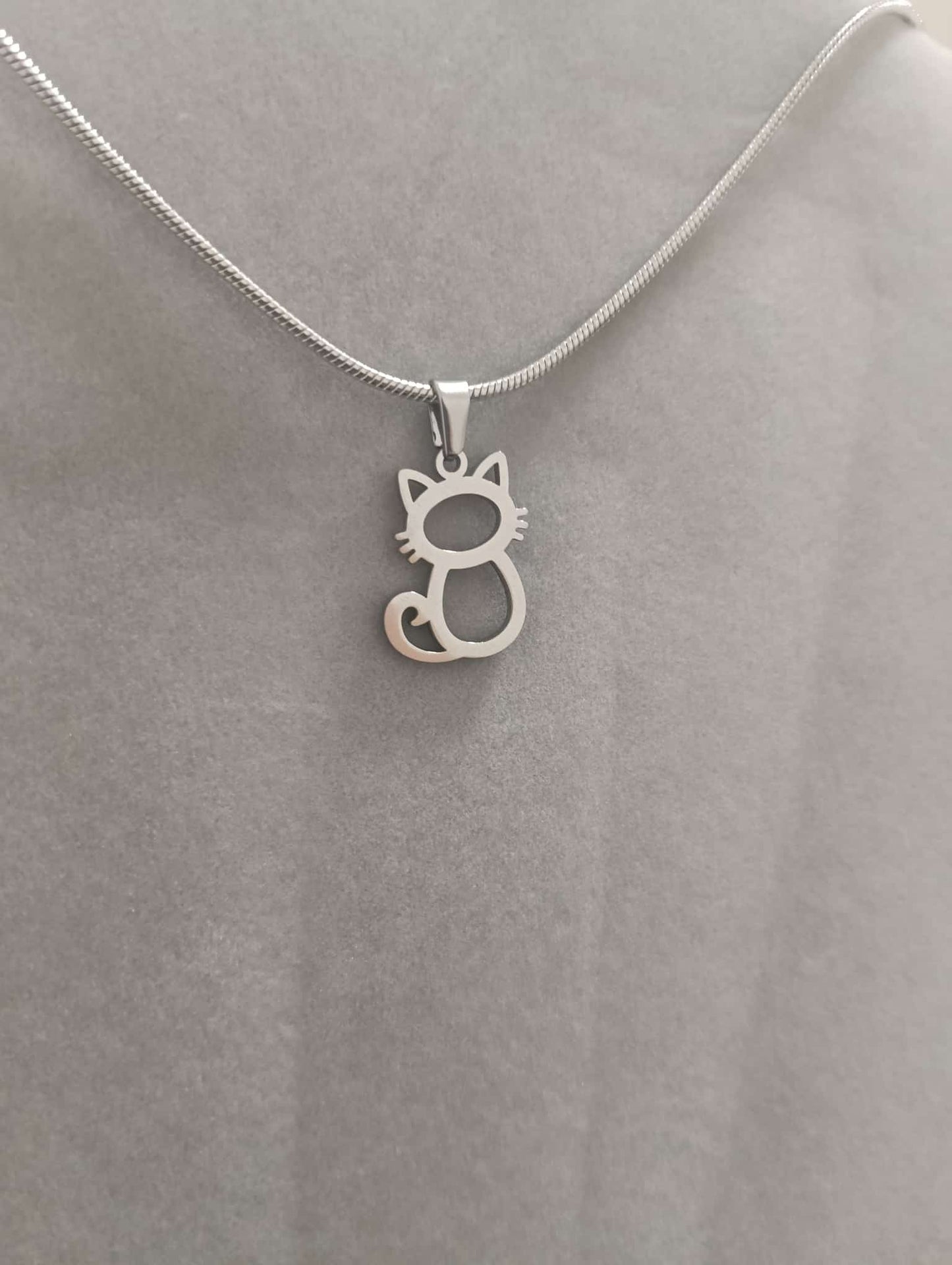 Conjunto gato