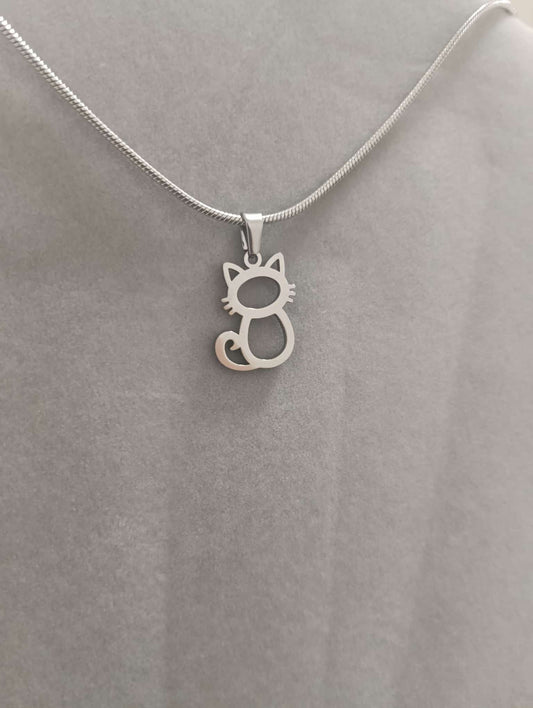 Conjunto gato