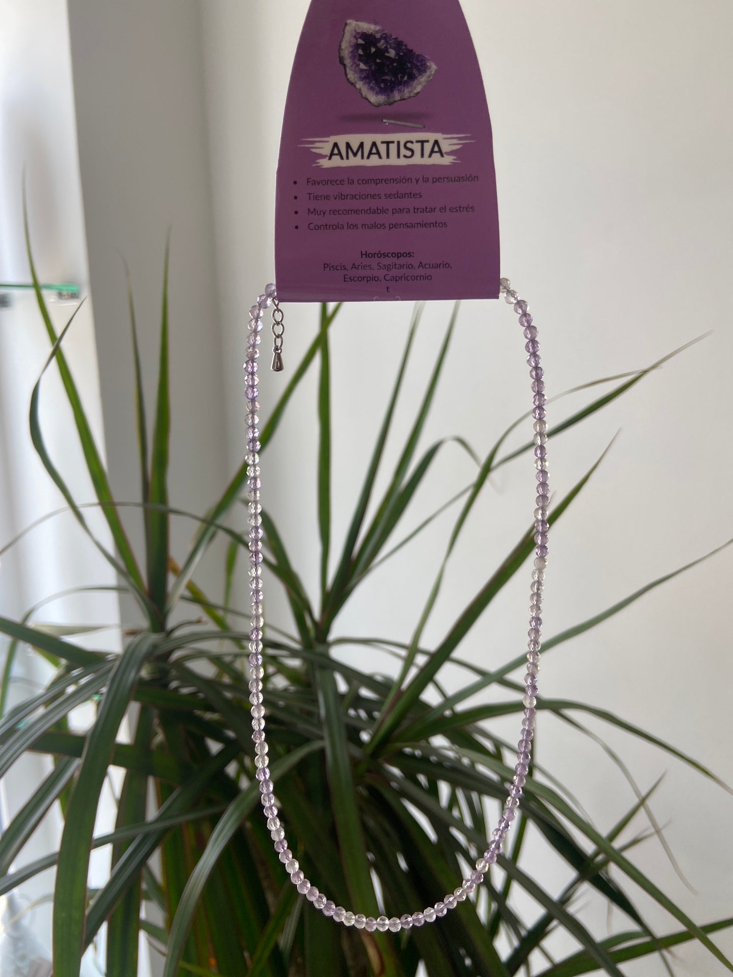 Gargantilla Amatista
