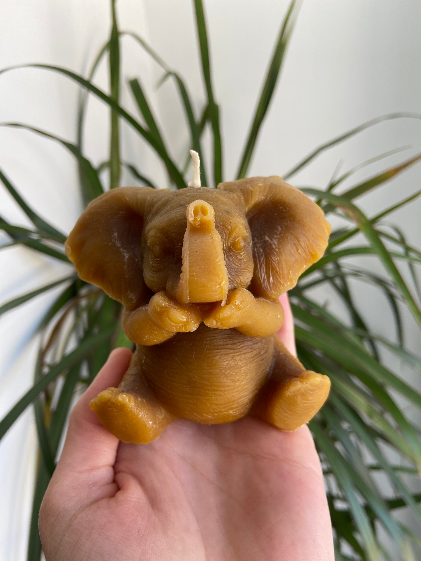 Vela Miel Elefante