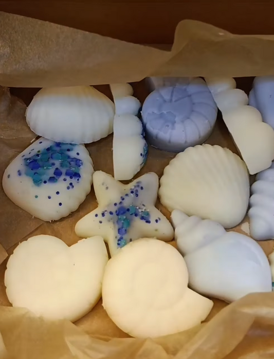 Wax Melts Brisa Marina (cera de soja)