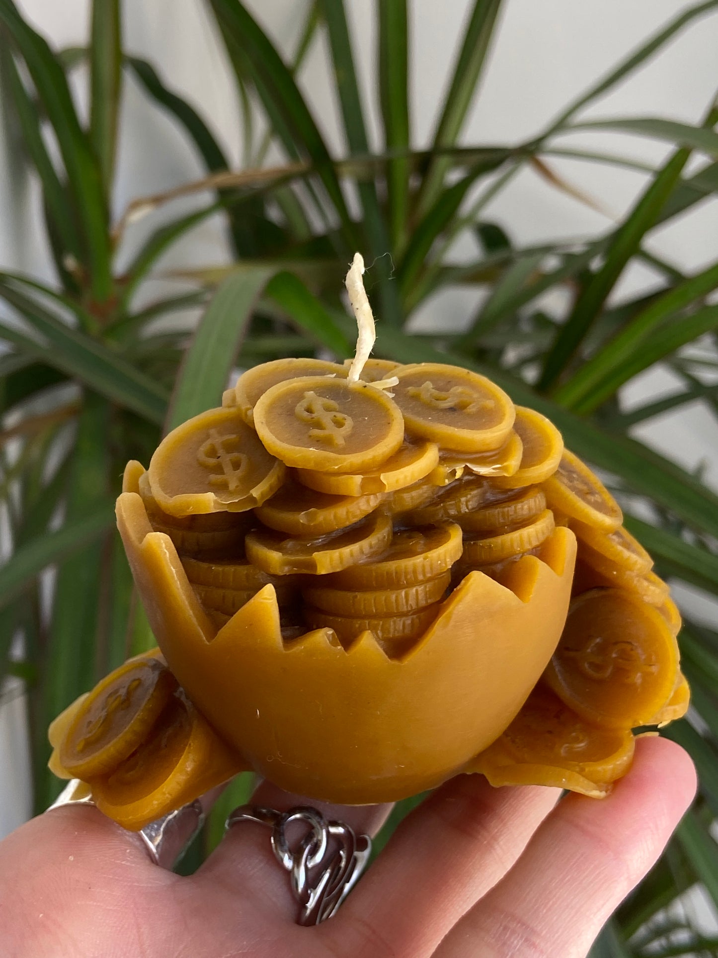 Vela Miel Caldero Monedas