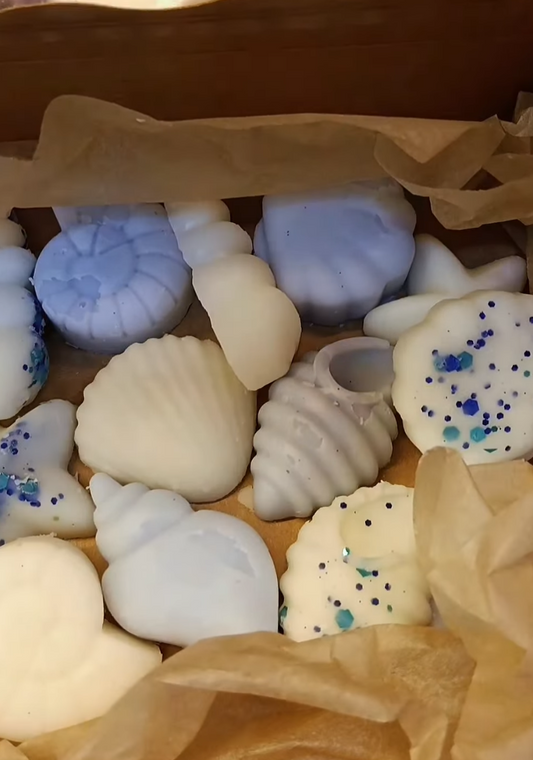 Wax Melts Brisa Marina (cera de soja)