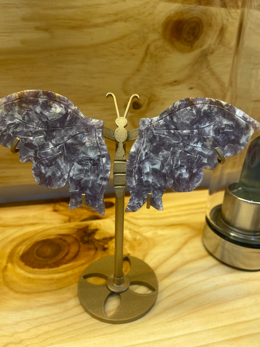 Mariposa Amatista