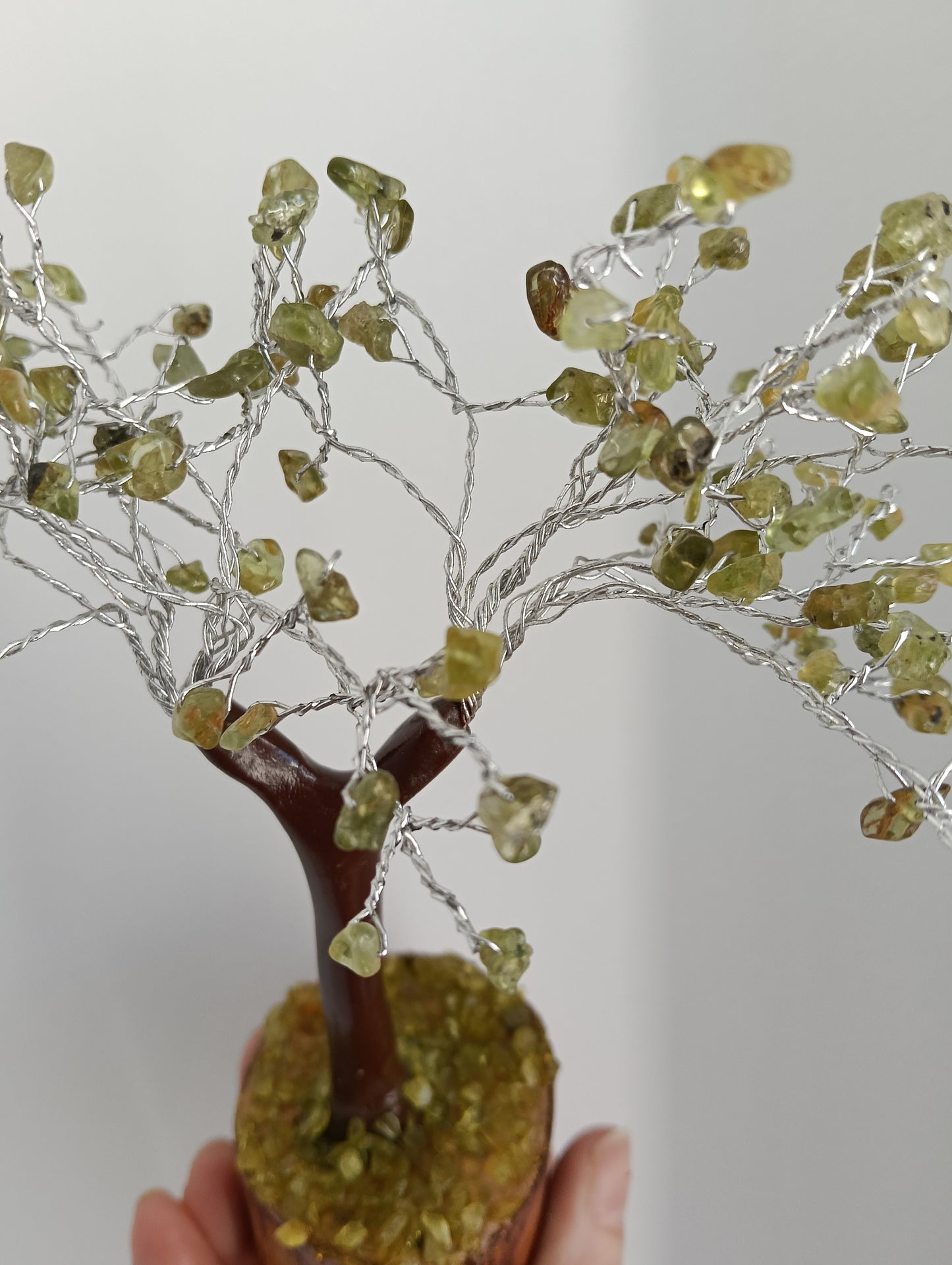 Árbol Peridoto