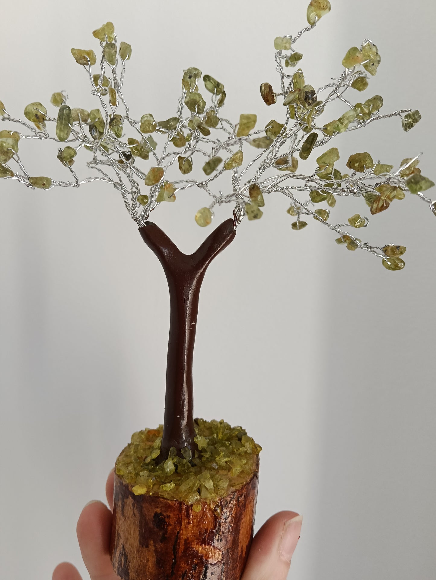 Árbol Peridoto